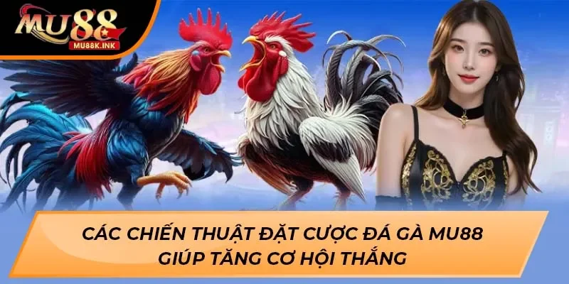 Đá Gà MU88